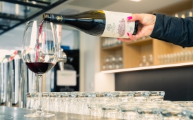 Rákóczi Hotel***, Kemp a Centrum Podujatí