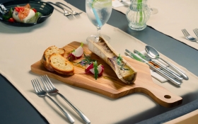 Rákóczi Hotel***, Kemp a Centrum Podujatí